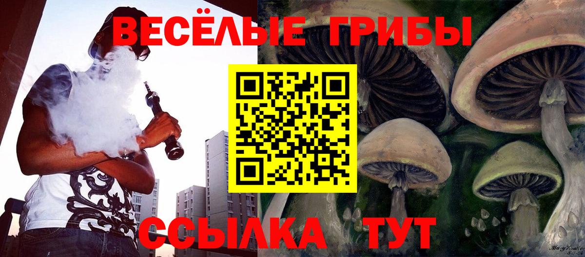 Псилоцибиновые грибы мухоморы Клин