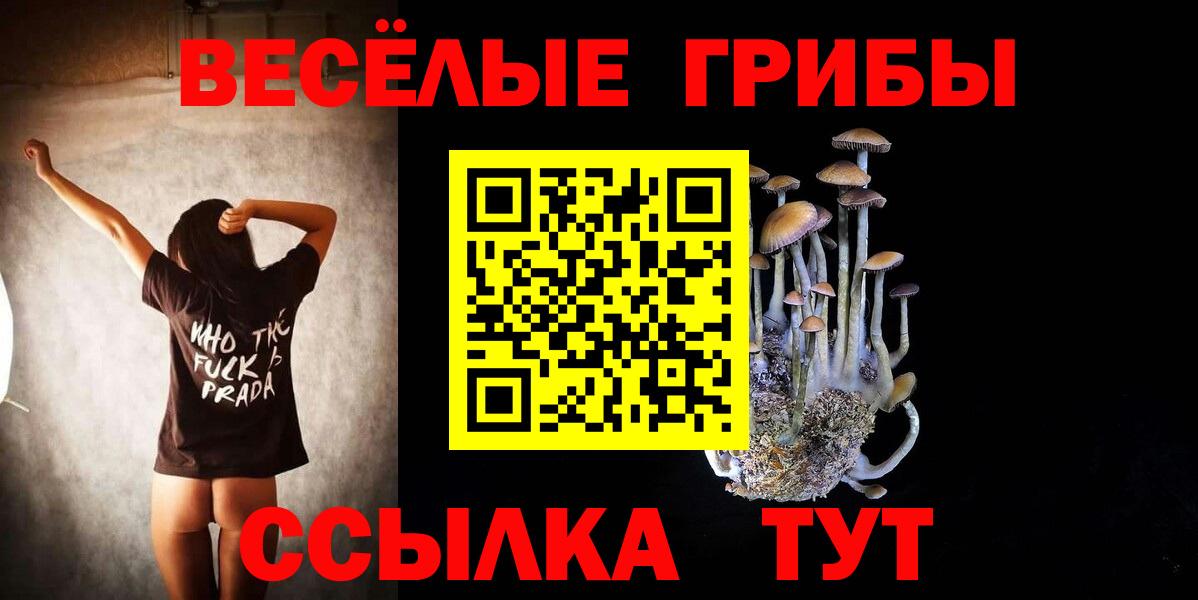 как найти наркотики  Вход с VPN  Клин  Галлюциногенные грибы GOLDEN TEACHER  Галлюциногенные грибы Psilocybine cubensis 